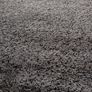 rug Image 2