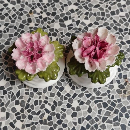 Pair of Aynsley China floral posies