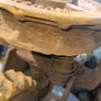 Another Beautiful Large Heavy Antique Iron Pulley Image 8
