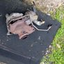 Turbocharger/Turbo Image 2