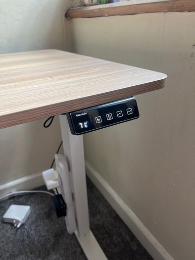 Auto Height Adjustable Electric Standing Desk
