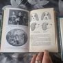 4 book lot on the Cavalier King Charles Spaniels Image 3