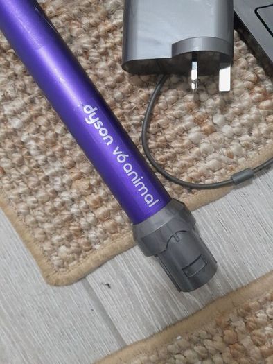 Dyson V6 animal