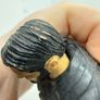 wwe shield attire Seth Rollins action figure Image 9