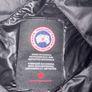 canada goose Image 3
