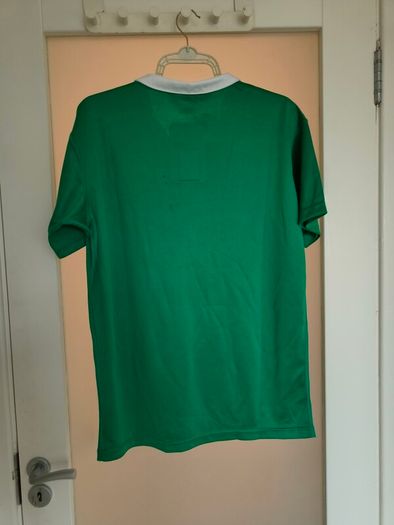 2014/15 Canterbury Ireland Rugby IRFU home jersey