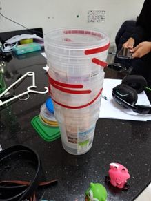 Plant pots