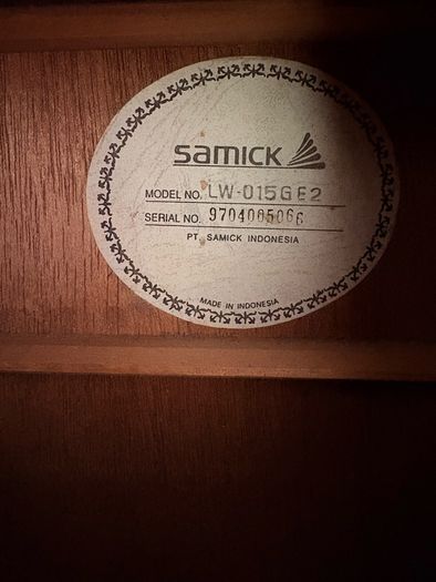 Guitar Samick LW