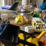 Duplo Image 3