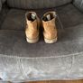 ugg Image 4