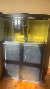 fish tank