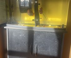 fish tank