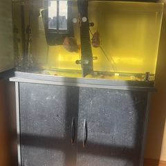 fish tank