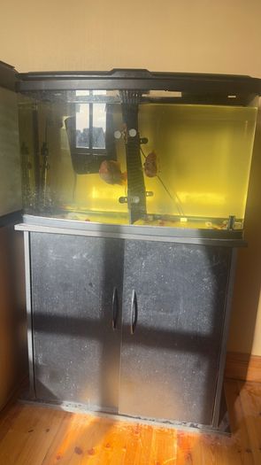 fish tank