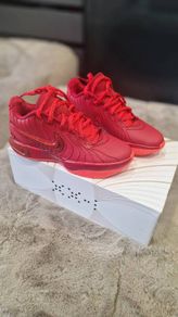 nike lebron xx1