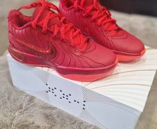 nike lebron xx1