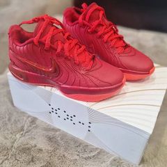 nike lebron xx1