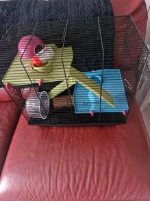 Hamster cage for seal