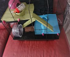 Hamster cage