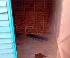 Garden Shed
