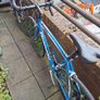 Bianchi Road Bike Image 2