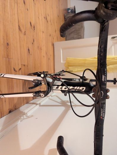 giant tcr