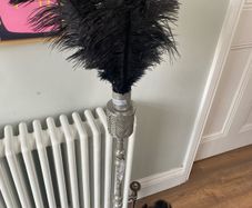 Black ostrich feather floor lamp