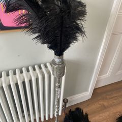 Black ostrich feather floor lamp