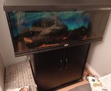 Jewel Rio 180L Fish Tank