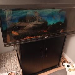 Jewel Rio 180L Fish Tank