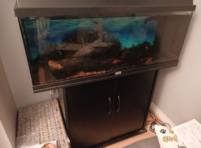 Jewel Rio 180L Fish Tank