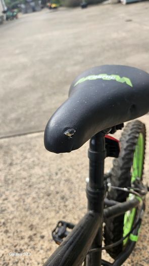 Kids bike