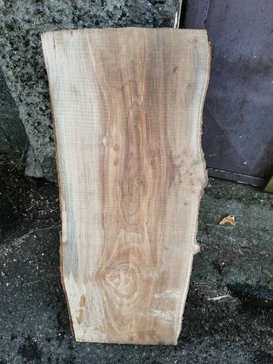 Beech and Ash