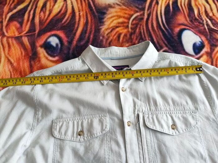 Patagonia shirt
