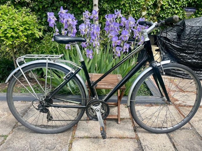 Ladies Bike