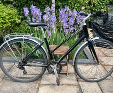 Ladies Bike