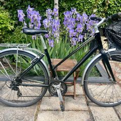 Ladies Bike
