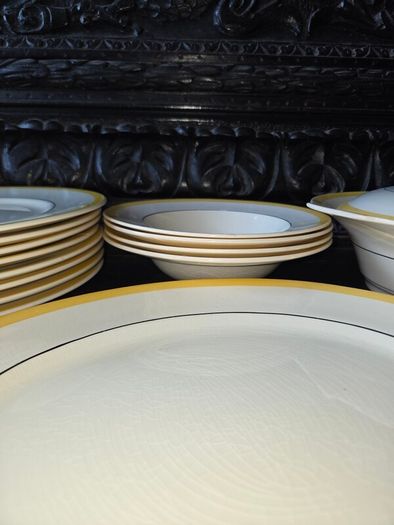 Hand Painted Myott 18 piece dinner set