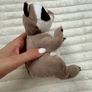 Ty Beanie Baby Bellies Petey the Raccoon approx. 6 Inch Plush Used Please see pictures Image 4