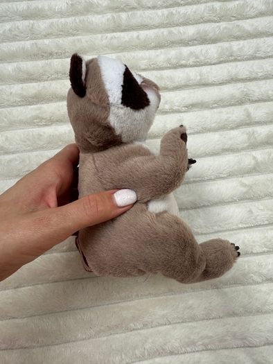 Ty Beanie Baby Bellies Petey the Raccoon approx. 6 Inch Plush Used Please see pictures