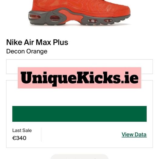 Nike Air Max TN Plus Orange Leather and Suede