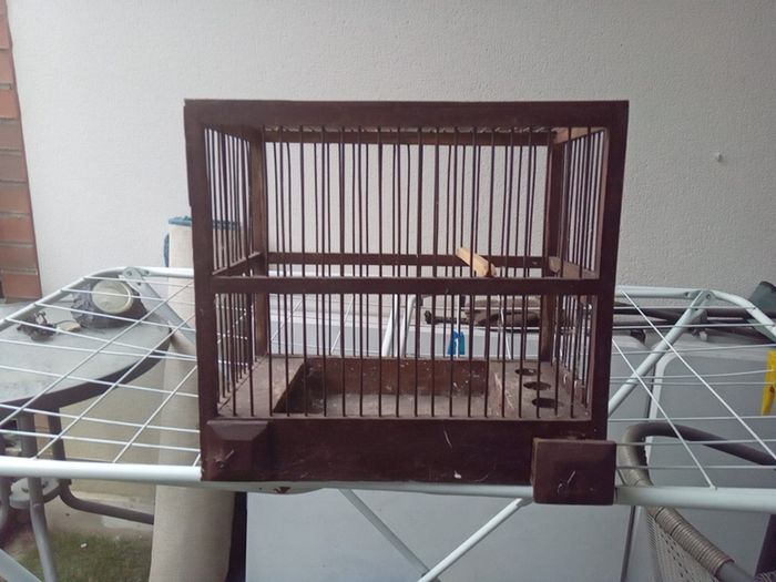 bird finch canary hopper cage I gave my birds away