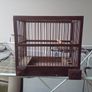 bird finch canary hopper cage I gave my birds away Image 2