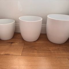 White ceramic pot planters