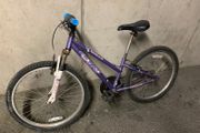 Apollo XC24 Single-Speed Bike