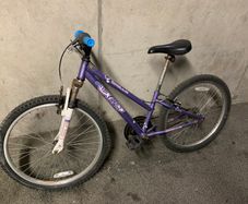 Apollo XC24 Single-Speed Bike