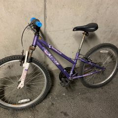 Apollo XC24 Single-Speed Bike