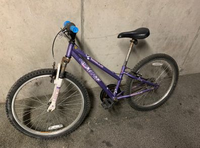Apollo XC24 Single-Speed Bike