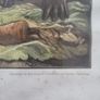 Old late 19th century print. A Darwinian Question Image 6