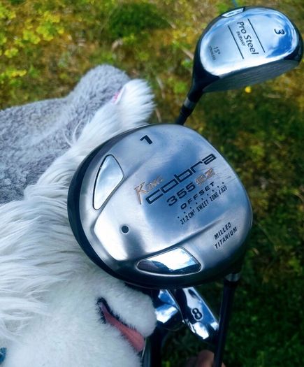 Set of Ladies Golf Clubs